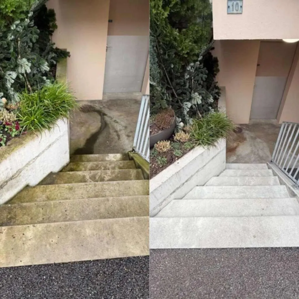 Steinpflege an Treppen und im Eingangsbereich