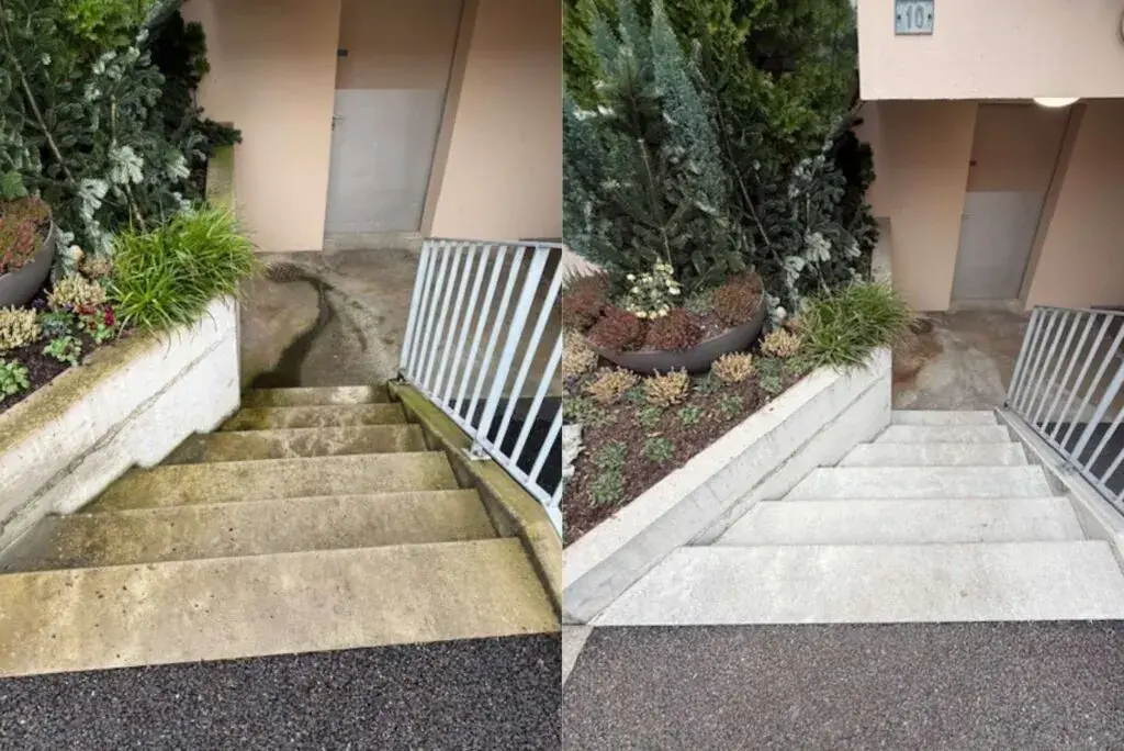 Vergleich Steinpflege auf Gartenplatten